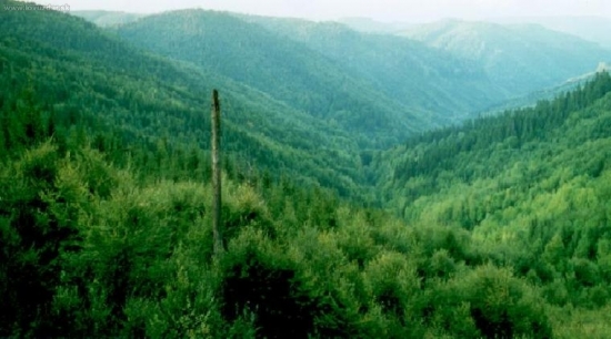 Kremnické vrchy