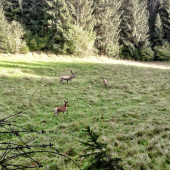 Už je to tu...krásne zážitky priatelia.