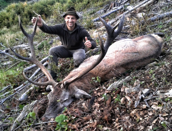 Jeleň z Kremnických vrchov