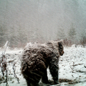 Brrrr....to je zima.