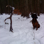 Prvý v tomto roku...