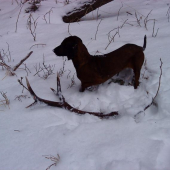 Prvý v tomto roku...
