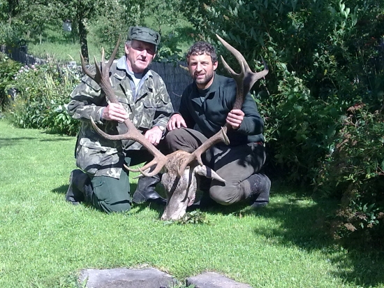 Jeleň 4 vk.t.-185b.