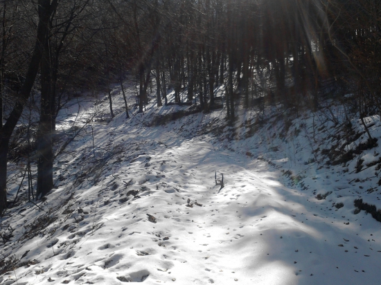 Môj prvý v živote