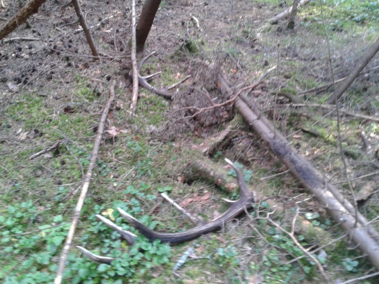 Moja prvá pára v živote