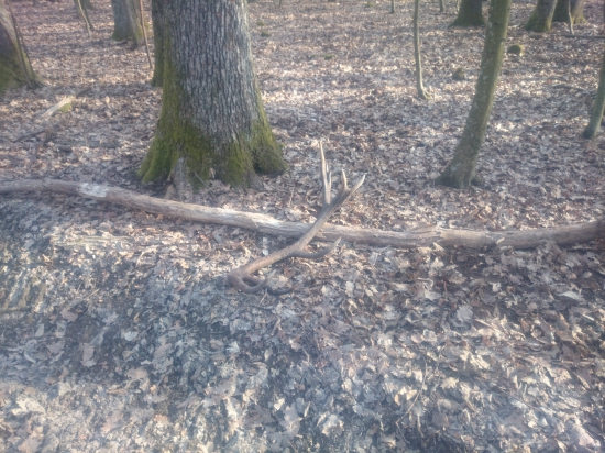 dohľadal som k bratovmu 16-torakovy