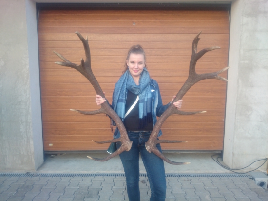 zlato :-P a striebro