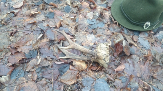 Dnešná prechádzka