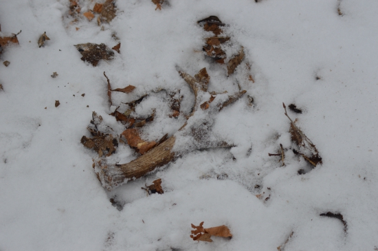 ... aj také poteší ...