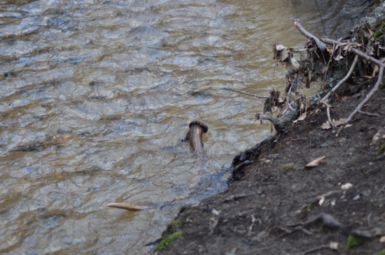 Pohľad na nezaplatenie :-P