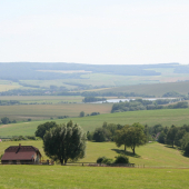 Pohľad z našich lesov