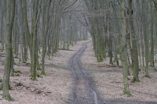 Road to heaven