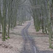 Road to heaven