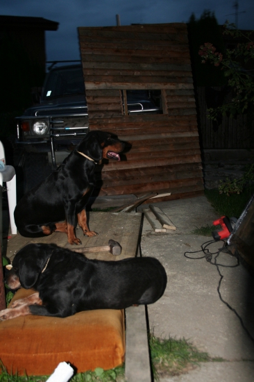 Pomocníci pri stavbe posedu