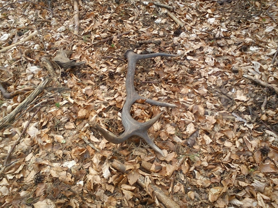 10 torák z prechádzky