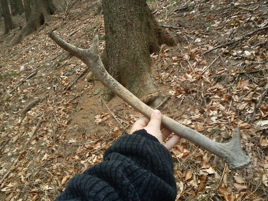 6-torák z kaliska ..