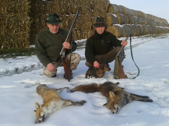 wiky sa zas pochlapila