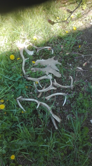 Takto sa u nas kosi!