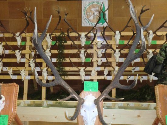 Chovaťelska výstava Kežmarok