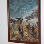 ruja vo Vys. Tatrách.