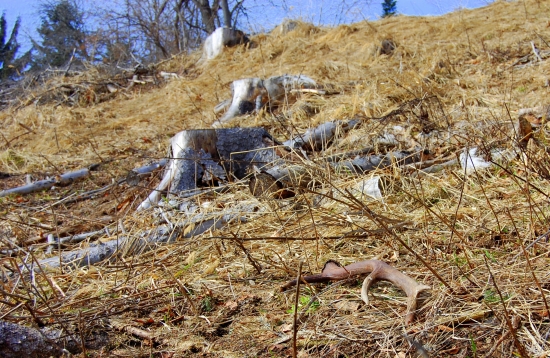 starý,ale potešil!