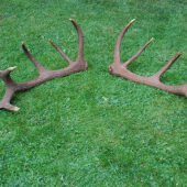 konečne spolu po pol roku  I