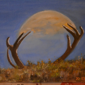 vychádza - prichádza