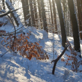 konečne