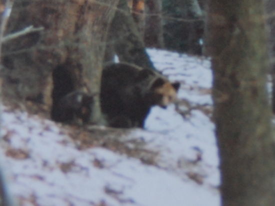 poď von, ideme sa fotiť!