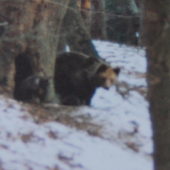 poď von, ideme sa fotiť!