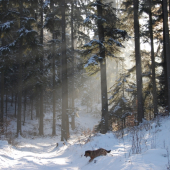 dnešné popoludnie