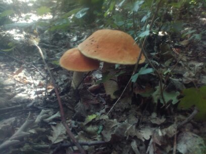 ked som bol na hubach