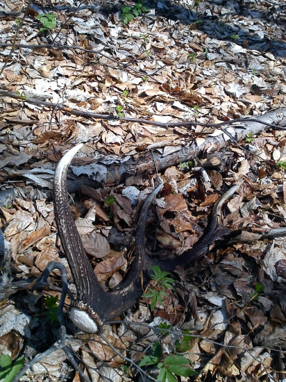 dohľadávaš jeden,nájdeš druhý