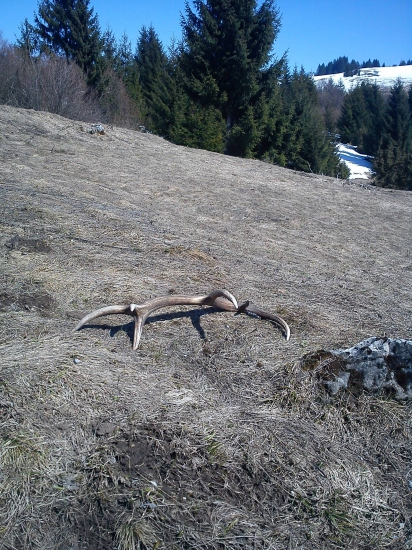 viditeľný z každej strany