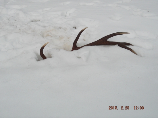 Ležal v chlade ale mňa rozohrial