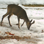 Prišiel sa pofotiť