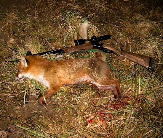 Ide to aj bez snehu.