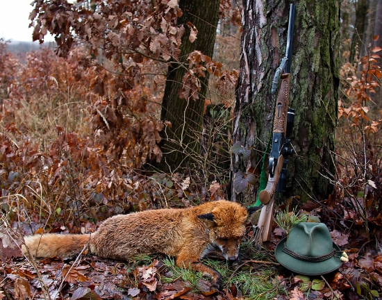Valentínsky lišiak č.12