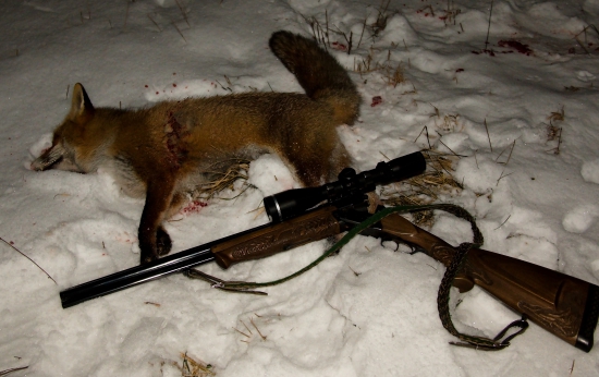 Ďalší Lišiak v novom roku