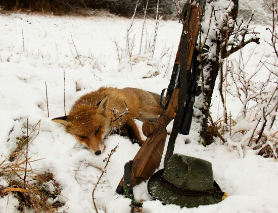 Na decembrovom snehu