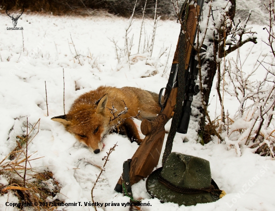 Na decembrovom snehu