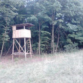 posedik