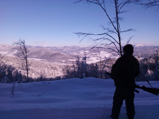 Panoramata