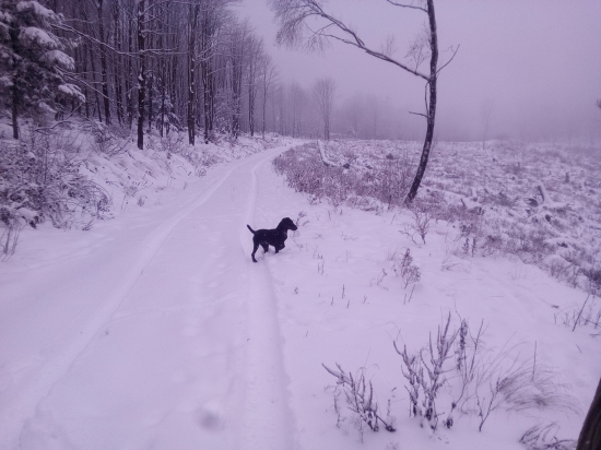 Xero z Brezanskych stráni