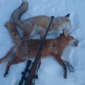 22 RWS HIGH VELOCITY