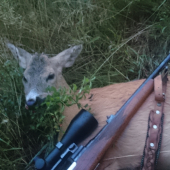 Meninový Gomgičkár