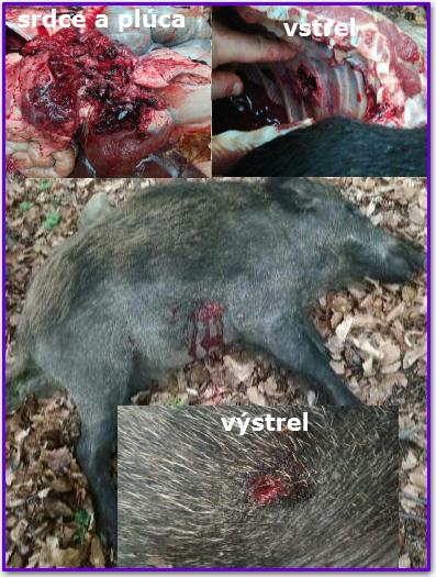 RWS DK 10,5 g prebijaný 7.62x39