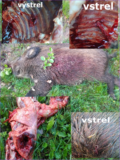 RWS DK 10,5 g prebijaný 7.62x39