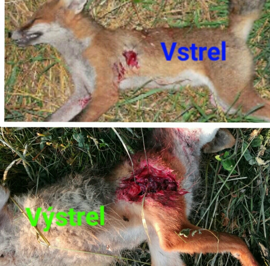 RWS DK 10,7 g prebijaný 7.62x39