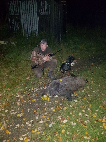 daľšia dohľadavka s kopovom